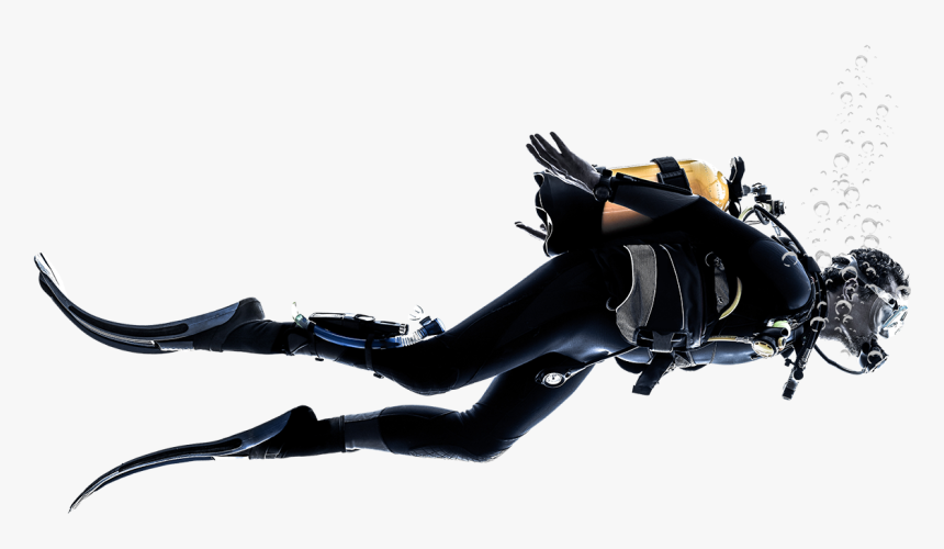 Diver Png, Transparent Png, Free Download