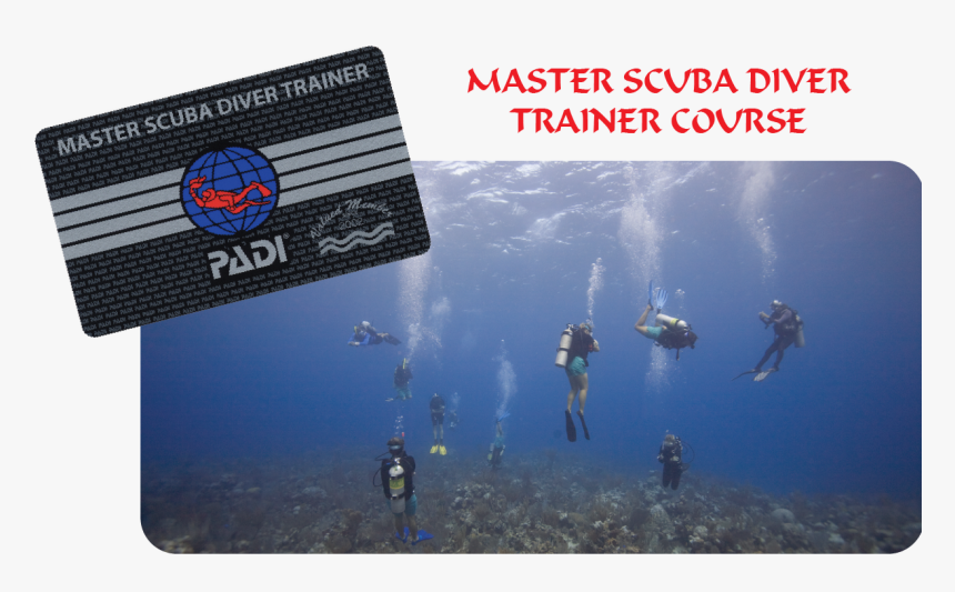 Padi Divemaster, HD Png Download, Free Download