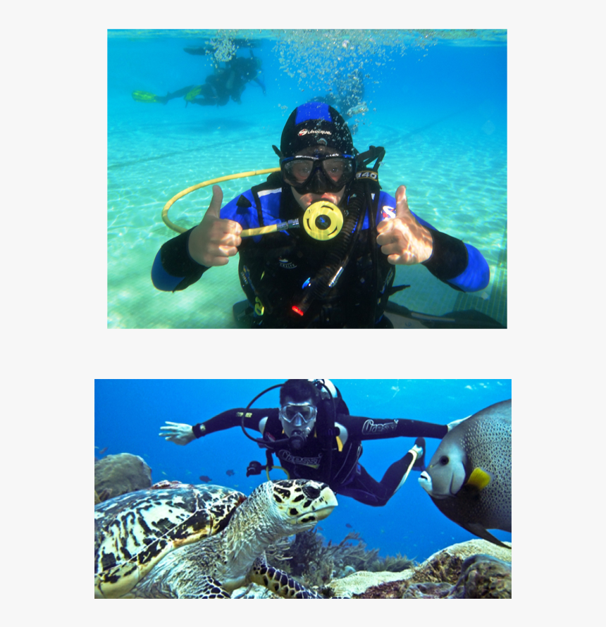 Scuba Diving In Andaman And Nicobar Islands, HD Png Download, Free Download