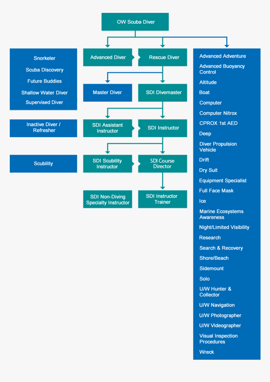 Sdi-flowchart - Sdi Courses, HD Png Download, Free Download