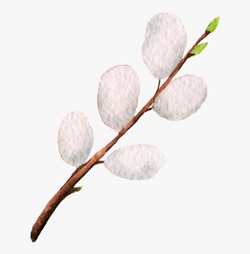 Twig, HD Png Download, Free Download