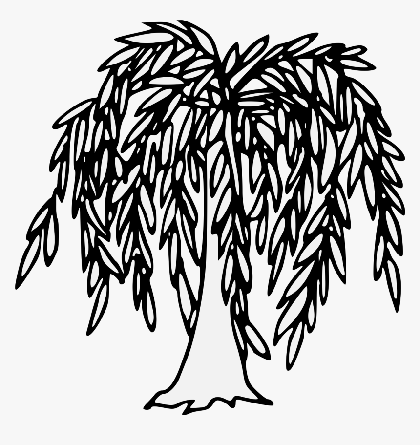 Willow Tree Clip Art, HD Png Download, Free Download