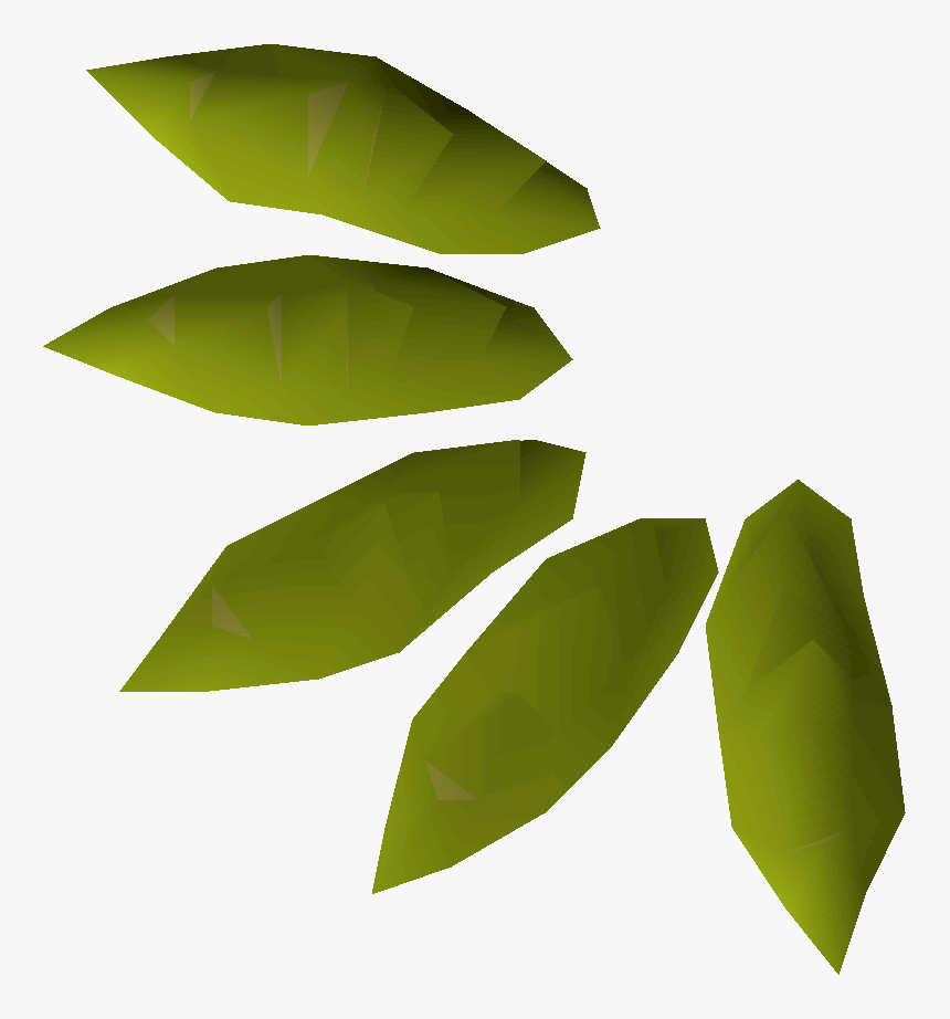 Seed Of A Willow Tree, HD Png Download, Free Download