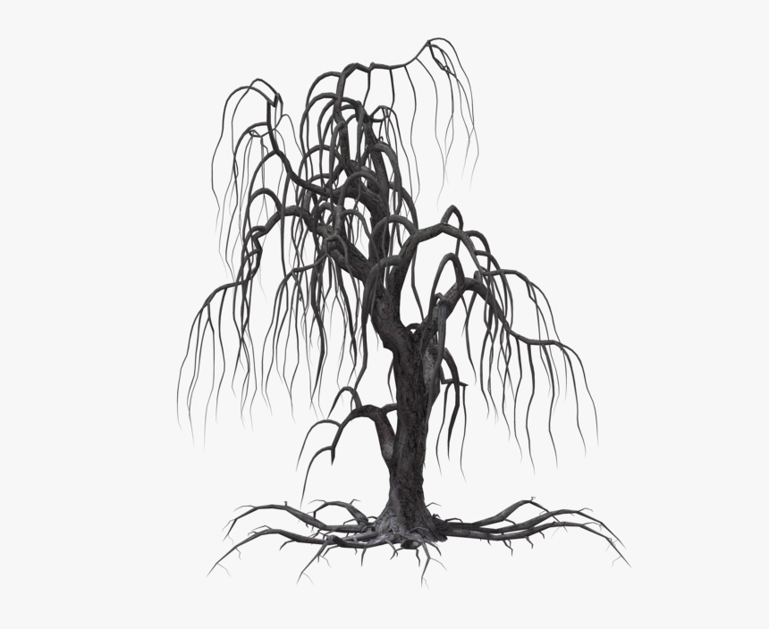 Tree Weeping Willow Drawing Clip Art - Transparent Background Spooky Tree Png, Png Download, Free Download