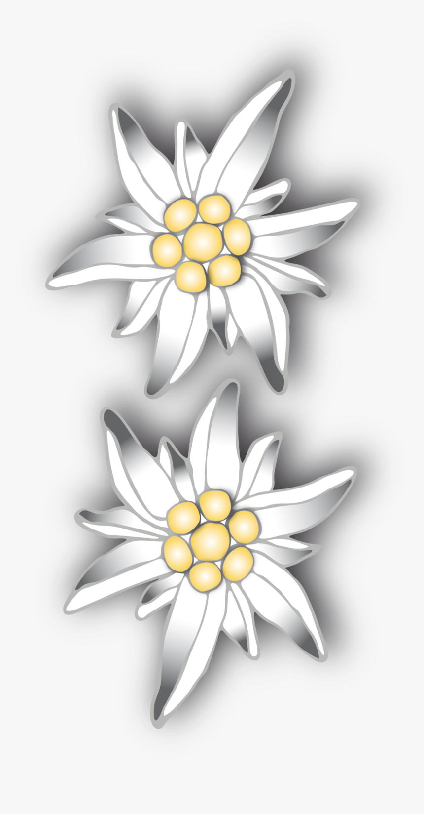 Binary Edelweiss Patterned Flat Picture - Artificial Flower, HD Png Download, Free Download