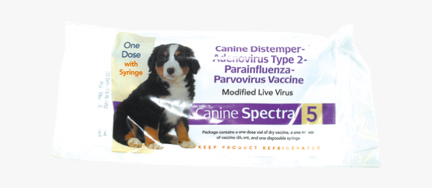 Canine Spectra 5, HD Png Download, Free Download