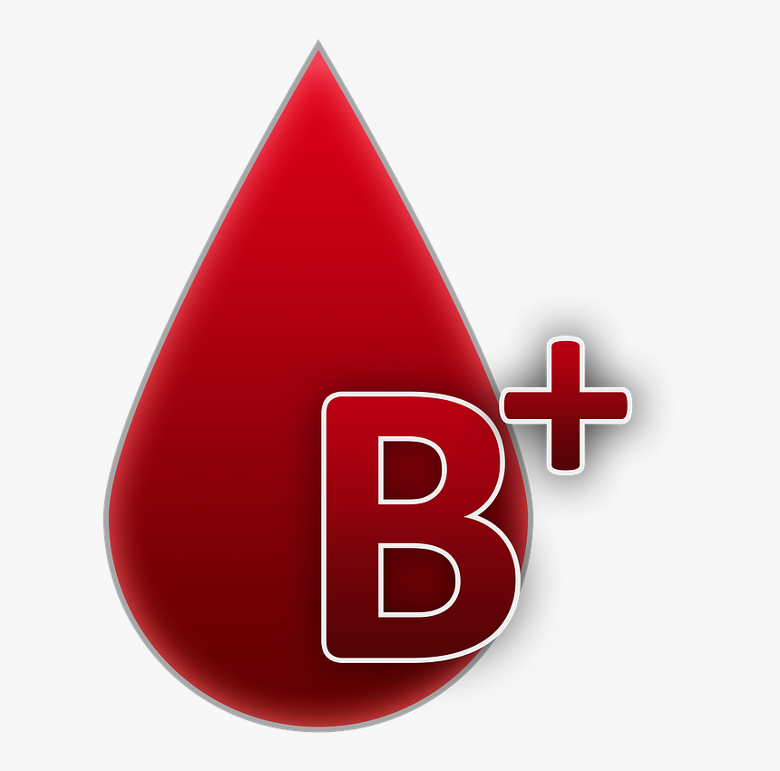 Blood Group B Rh Factor Positive Free Picture - Blood Group B Positive, HD Png Download, Free Download