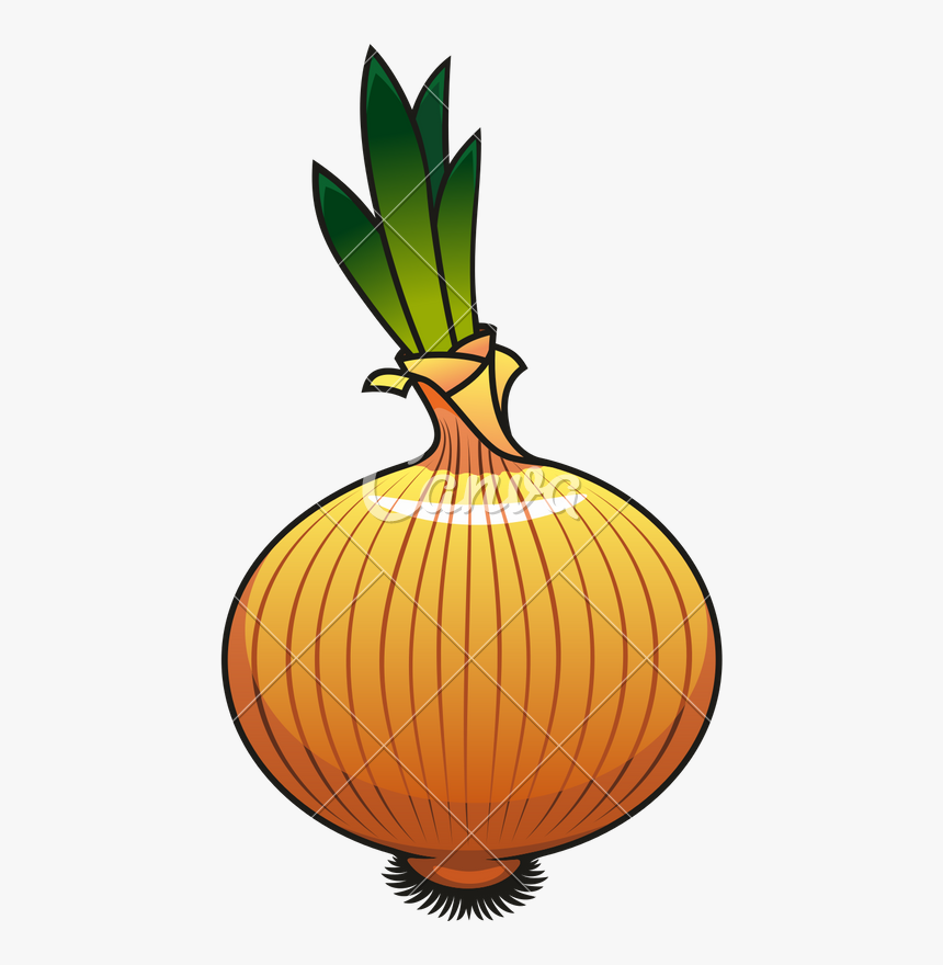 Onion Icon Design - Icon Cebolla Png, Transparent Png, Free Download