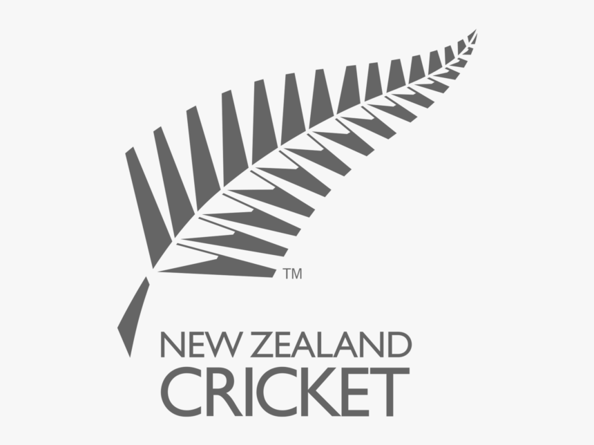 New Zealand Cricket Team Logo Png Free Download Searchpng - Nz Cricket Team Logo, Transparent Png, Free Download