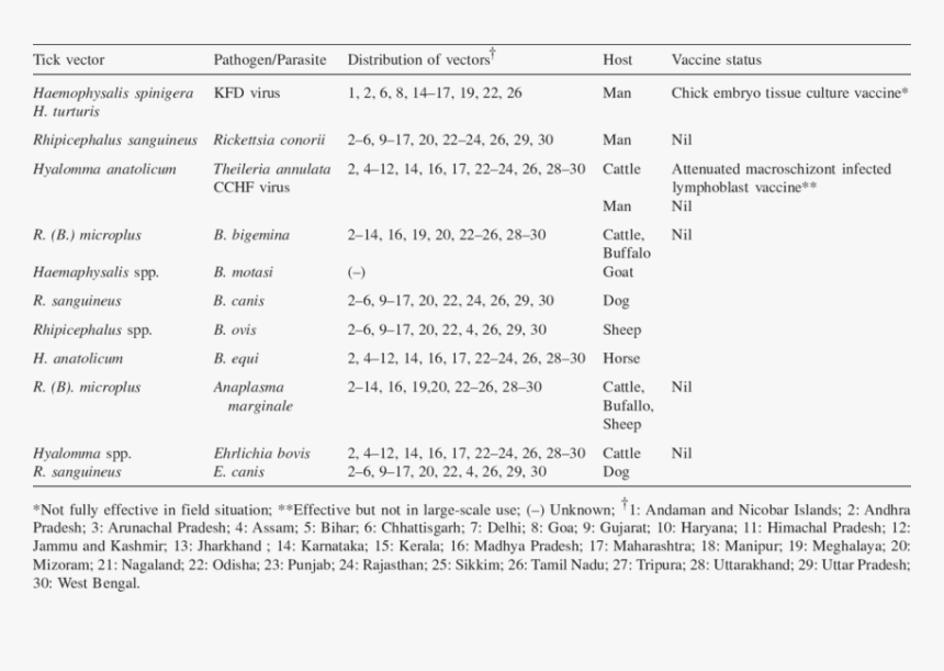 Tick Borne Diseases Name Of Vaccine, HD Png Download, Free Download