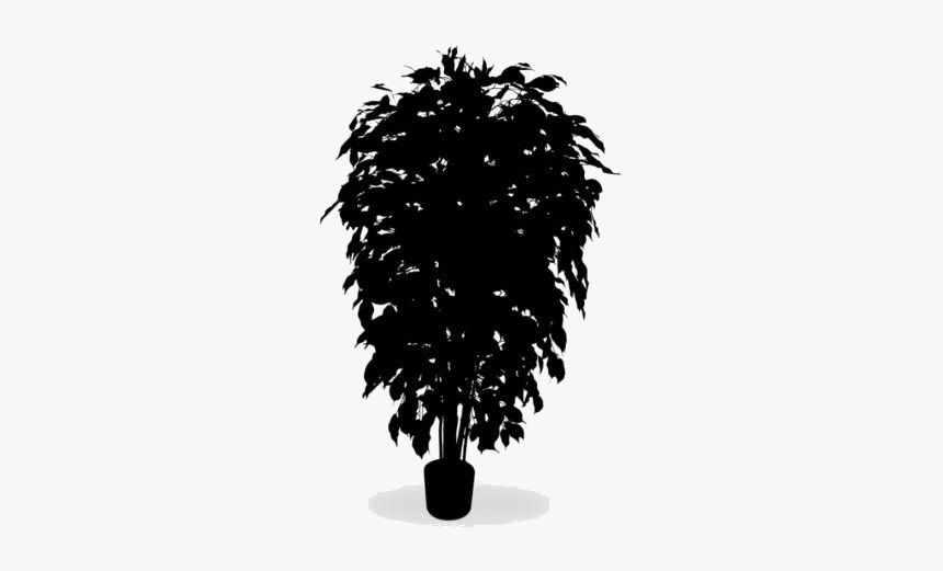 Indoor Plants Png Transparent Images - Houseplant, Png Download, Free Download