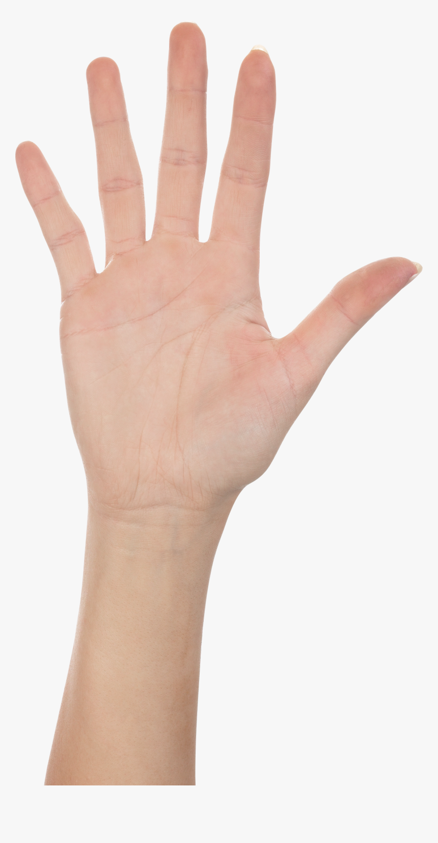 High Five Hand Png, Transparent Png, Free Download