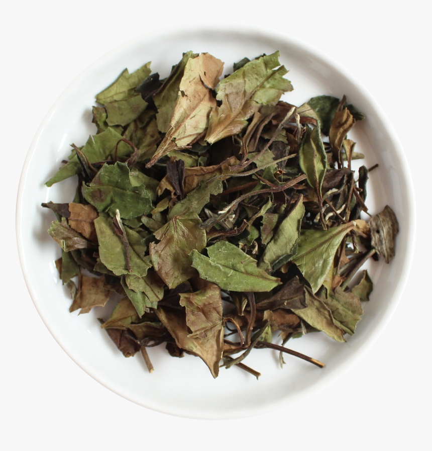 Herbal, HD Png Download, Free Download