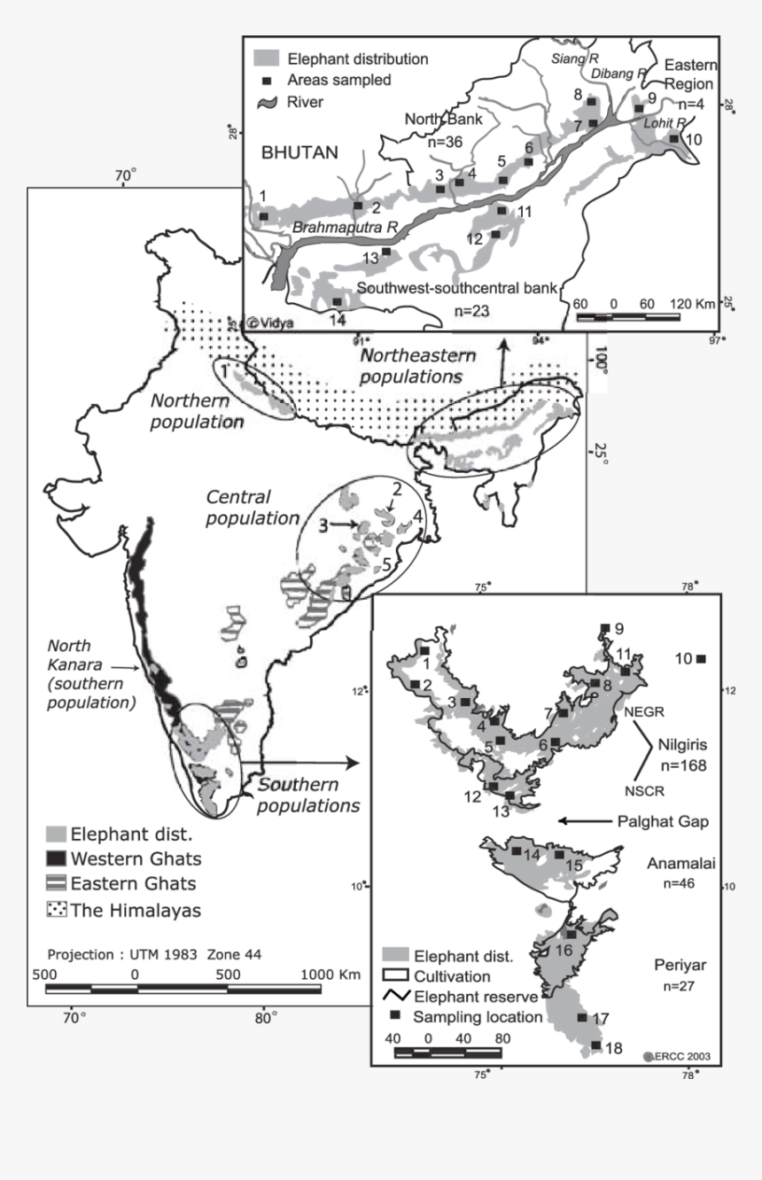 Elephant Distribution In India, HD Png Download, Free Download
