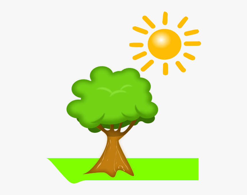 Sun Tree Kids Png, Transparent Png, Free Download