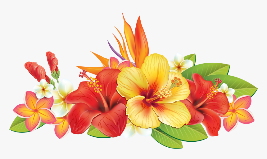 Cc C B - Tropical Flowers Border Png, Transparent Png, Free Download