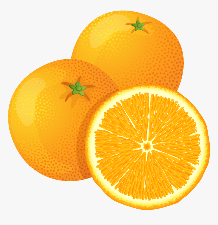 Orange Fruit Transparent Background Orange Png Clipart Png Download Kindpng
