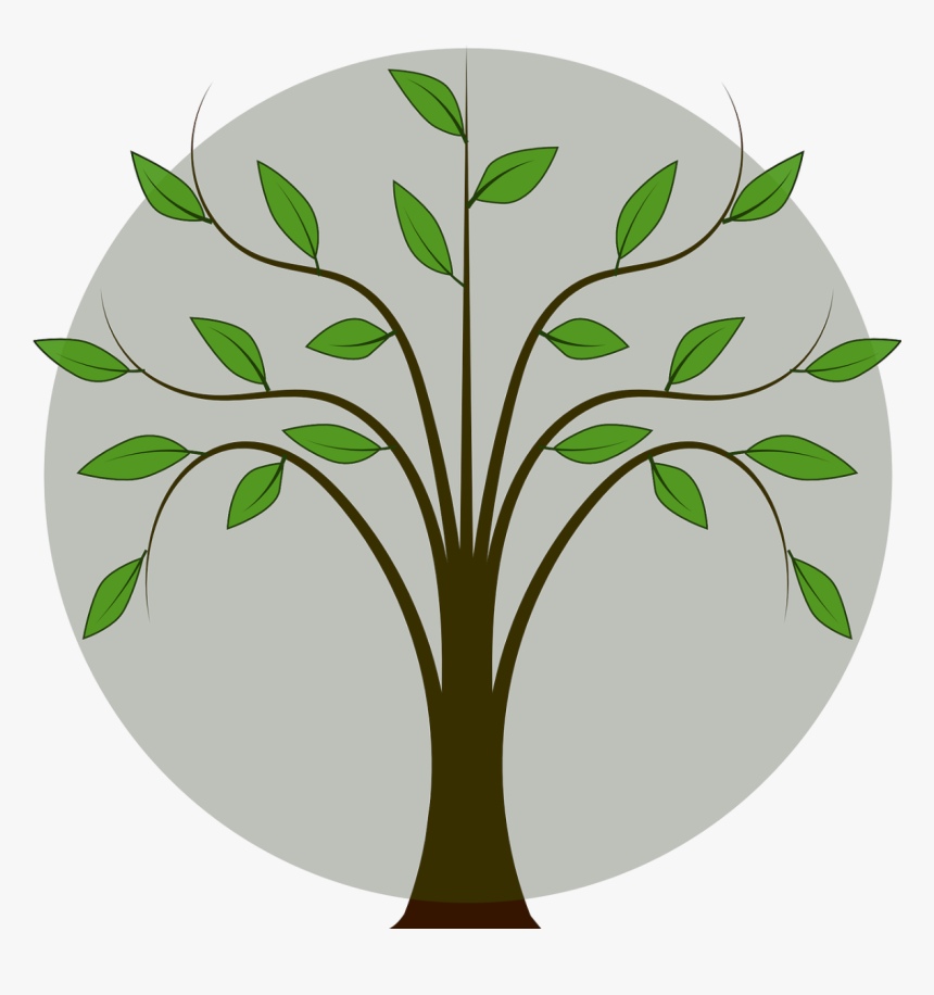 Tree With Leaf Clipart, HD Png Download, Free Download