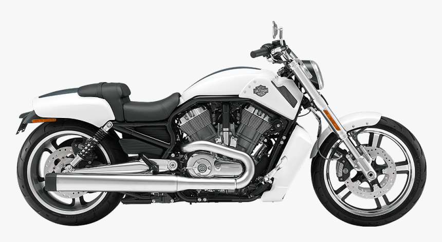 Harley Davidson V Rod Muscle, HD Png Download, Free Download