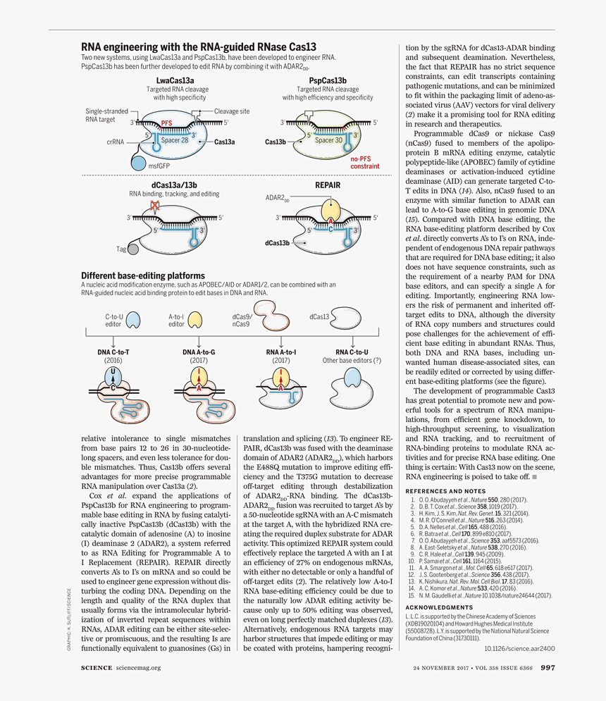 Document, HD Png Download, Free Download