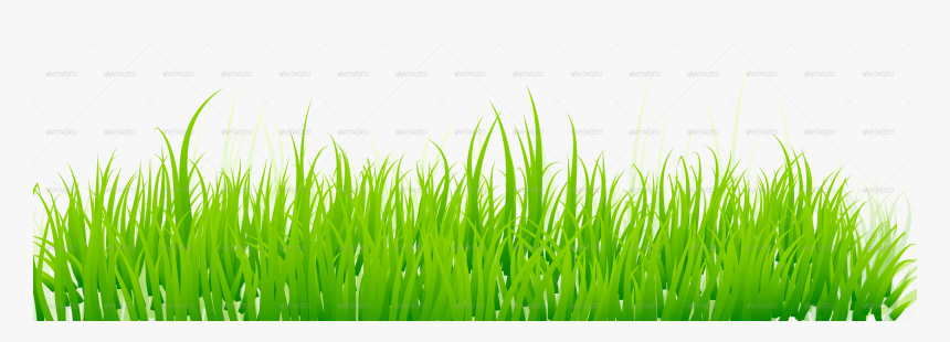 Green Grass White Background , Png Download - Grass Png, Transparent Png, Free Download