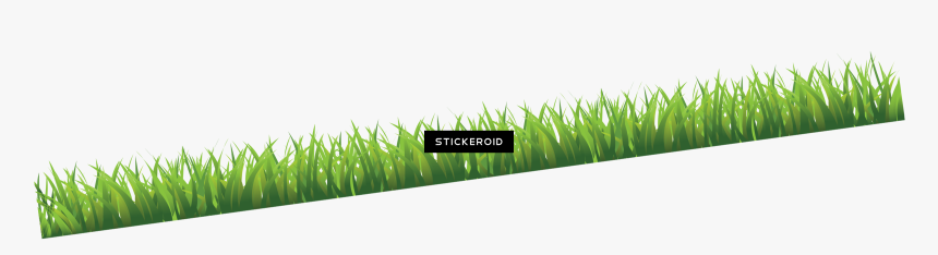 Grass Green Grass Nature, HD Png Download, Free Download