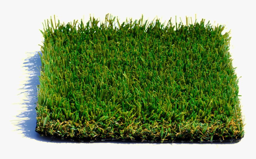 Lawn, HD Png Download, Free Download