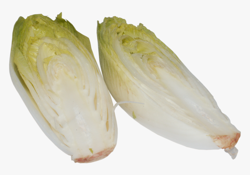 Laminated Poster Chicory Cabbage A Vegetable Vegetables - Endivia Png, Transparent Png, Free Download