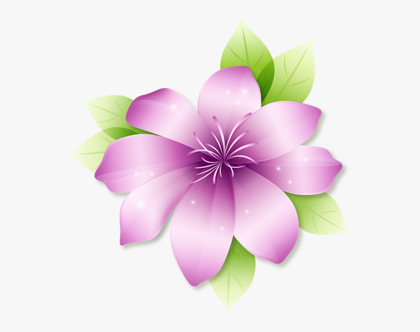 Flores Ilustradas, HD Png Download, Free Download