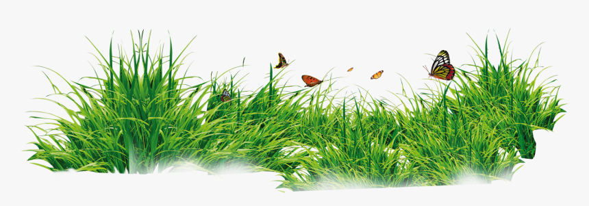 Grass With Flower Background Png Download - Grass Png, Transparent Png, Free Download