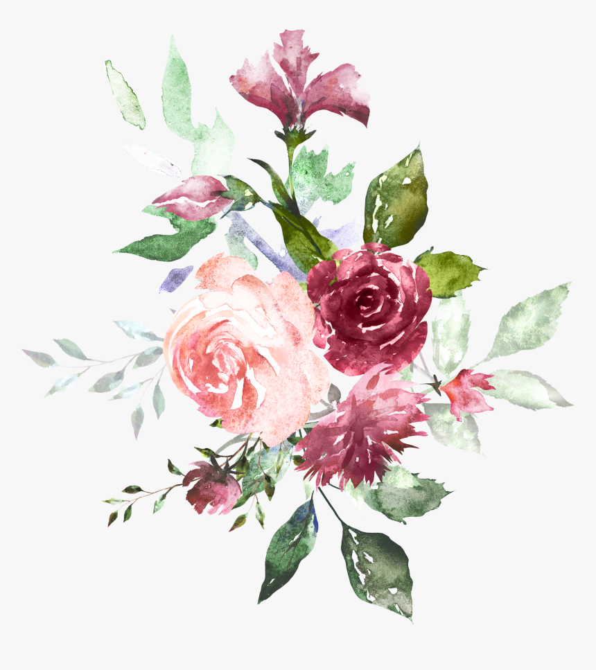 H804 Floral Illustrations, Mom Birthday, Rose Design, - Floral Illustration Transparent Background Roses, HD Png Download, Free Download