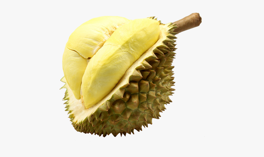 Durian Ripe Mango Clipart - Transparent Background Durian Fruit Png, Png Download, Free Download