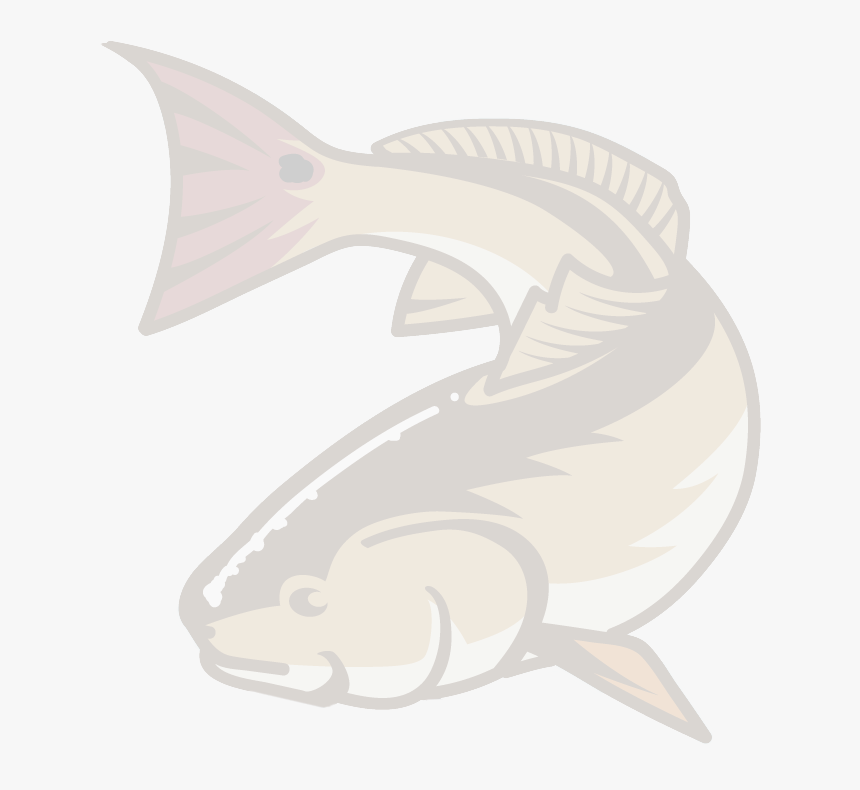 Roesner Real Estate Inspections - Pacific Sturgeon, HD Png Download, Free Download