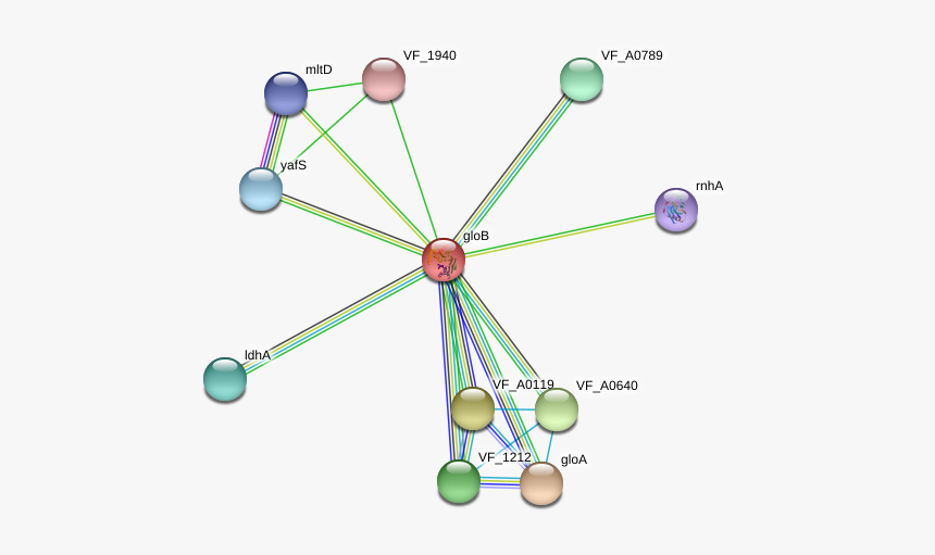 Glob Protein - Circle, HD Png Download, Free Download