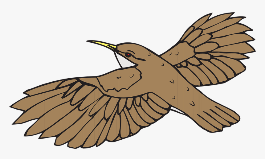Brown, Bird, Flying, Wings, Beak, Feathers, Fly - Brown Bird Flying Clipart, HD Png Download, Free Download