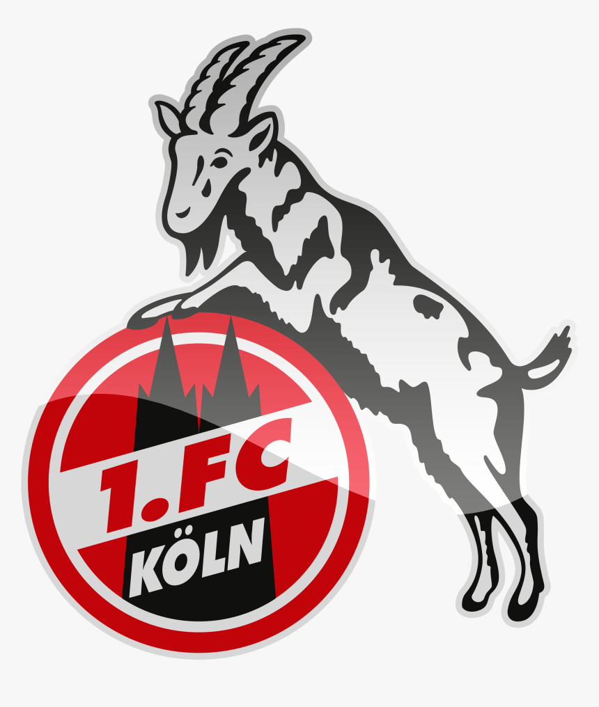 Fc Köln Hd Logo Png 1 Fc Köln Logo, Transparent Png kindpng