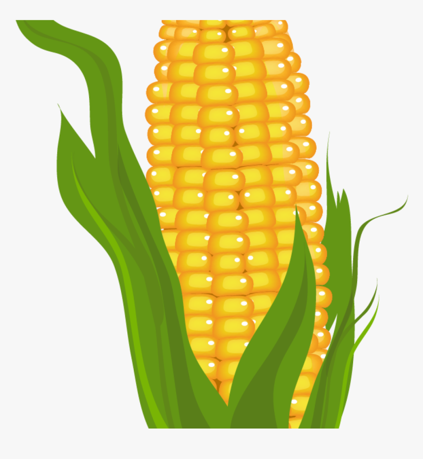 Corn Clipart Clip Art Stock - Corn Clipart, HD Png Download, Free Download