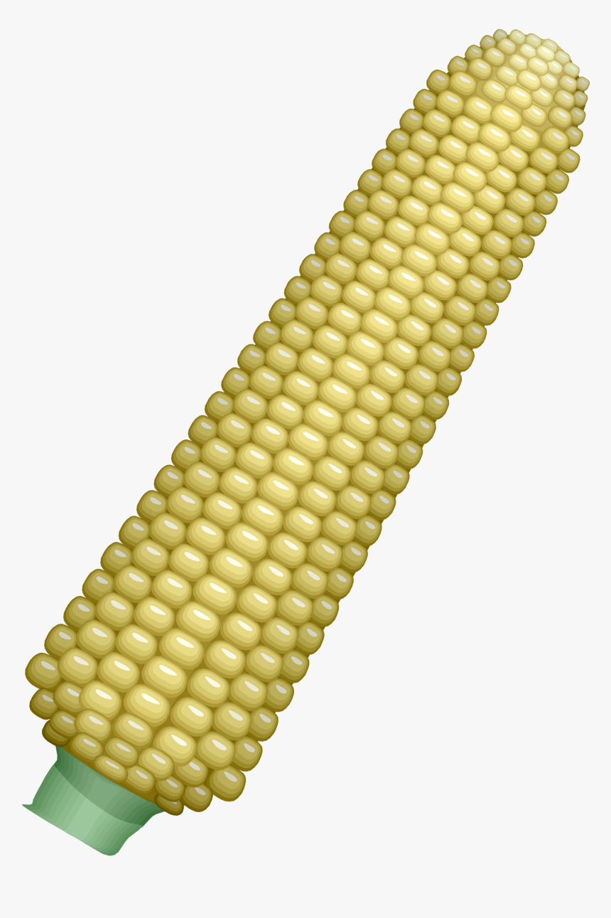 Corn - Ear Of Corn Clipart, HD Png Download, Free Download