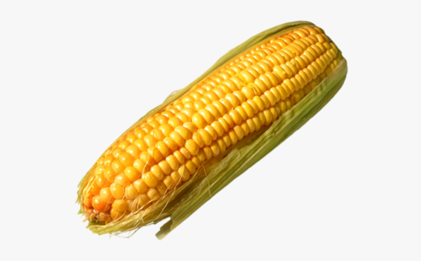 Corn Png Free Download - Corn Transparent Background, Png Download, Free Download
