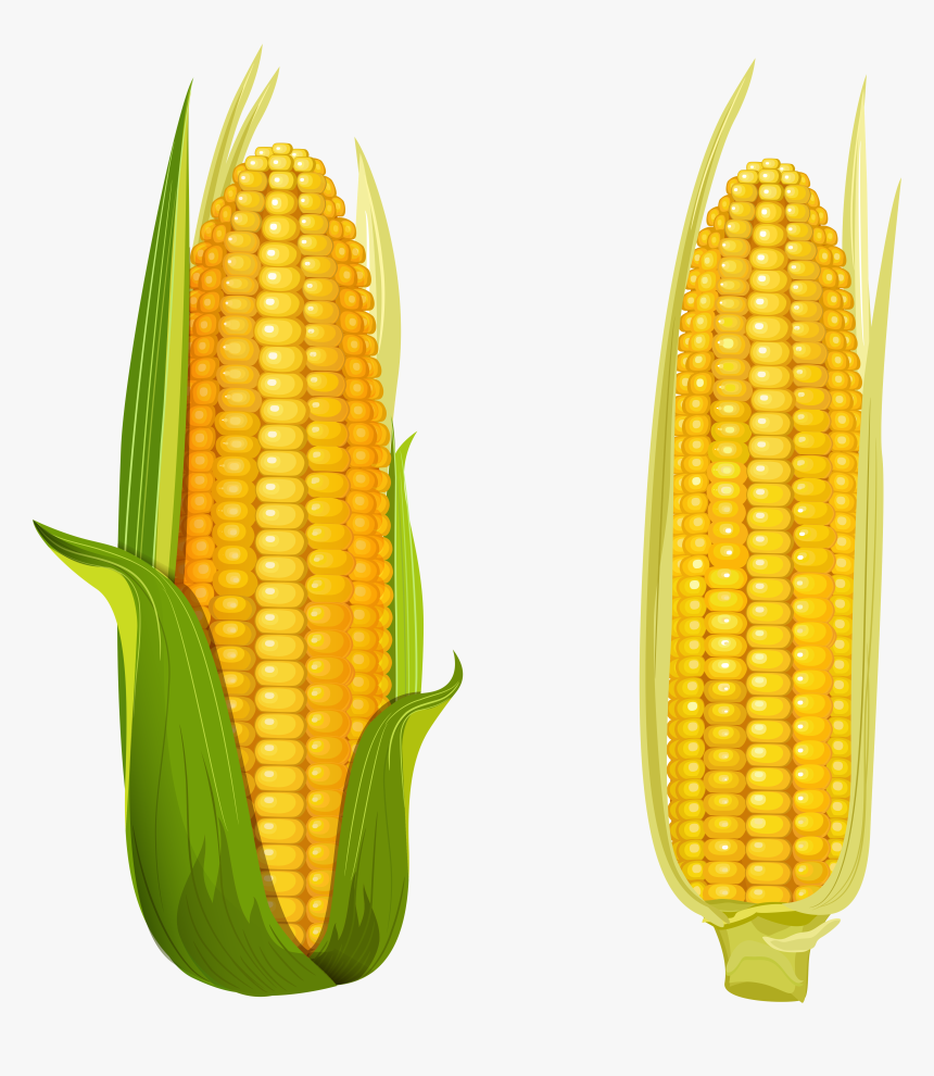 Corn Clipart Free Images Transparent Png - Corn On The Cob Vector, Png Download, Free Download