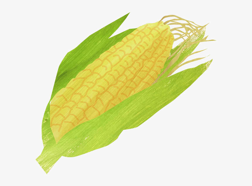 Corn On The Cob, HD Png Download, Free Download