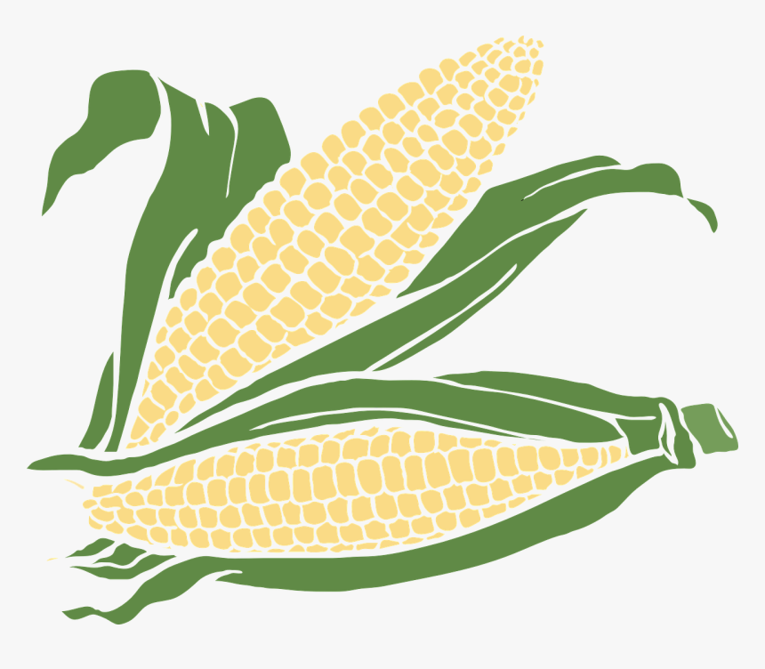 Corn, Food, Maize, Plant, Agriculture, Crop - Ears Of Corn Clipart, HD Png Download, Free Download