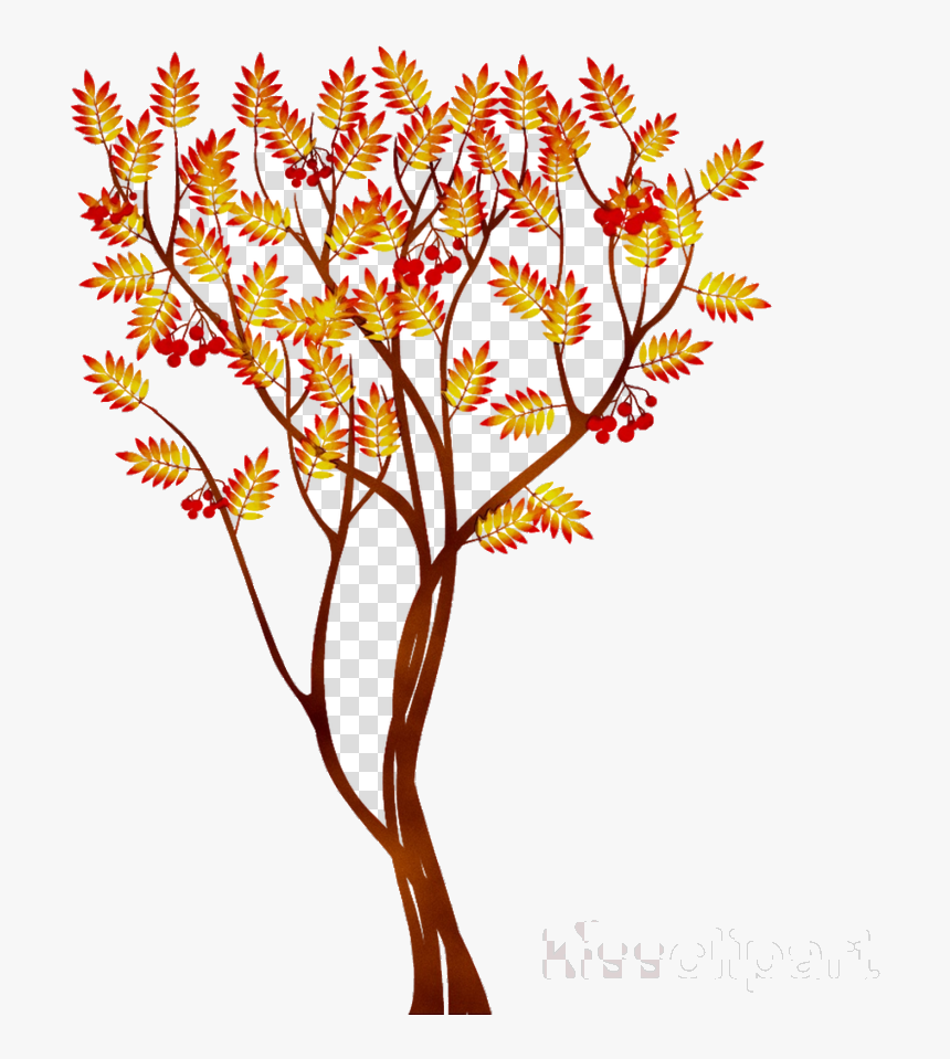 Fall Tree Autumn Flower Transparent Image Clipart Free - Fall Tree No Background, HD Png Download, Free Download