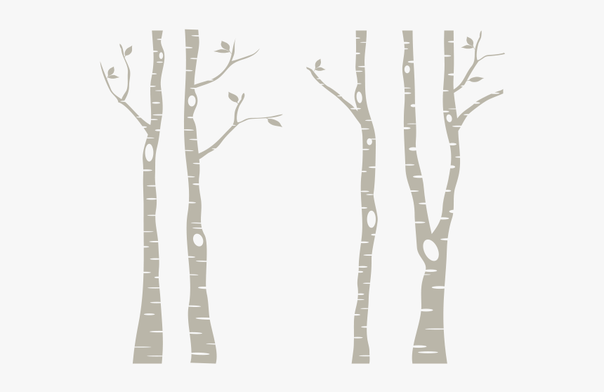 White Birch Tree Png-pluspng - Birch Tree Clip Art, Transparent Png, Free Download
