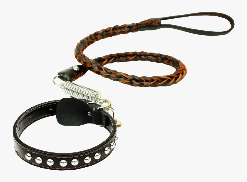 Love It Beautiful Dog Chain Dog Rope Pet Leash In The - Paw, HD Png Download, Free Download