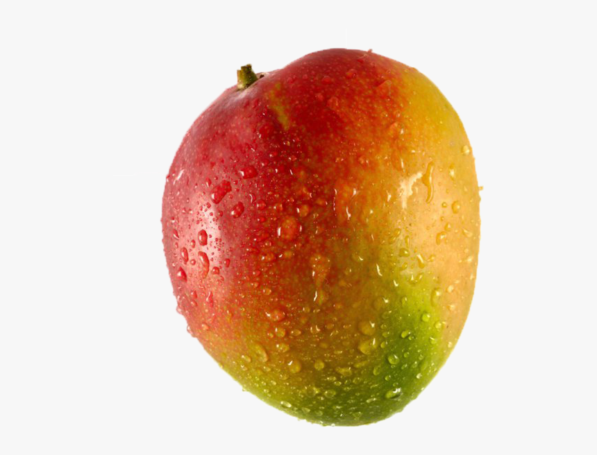 Mango No Background - Mango Kent, HD Png Download, Free Download