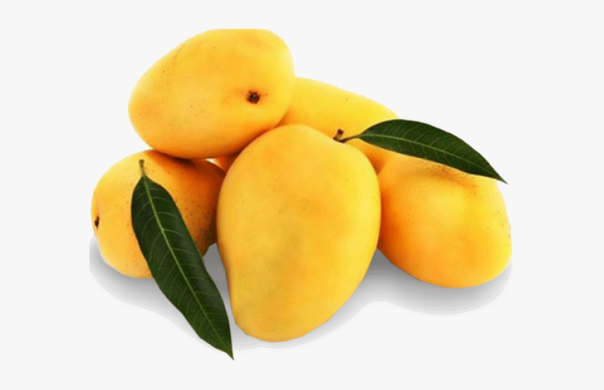 Mango Png Transparent Images - Badami Mango, Png Download, Free Download