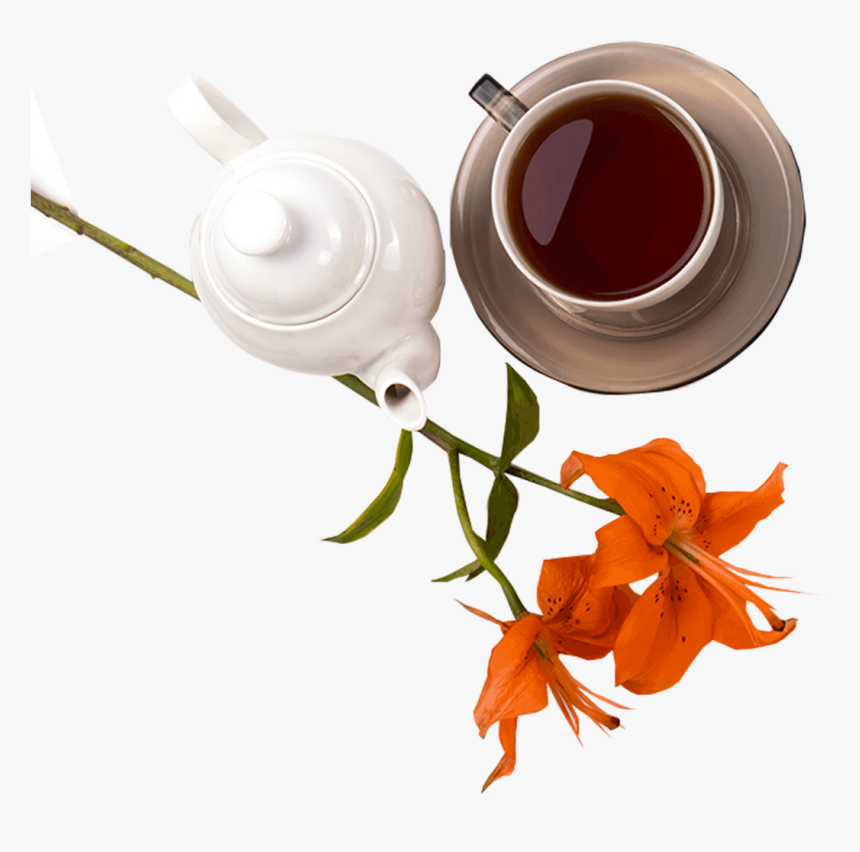 Catalog/black Tea/mango Dolce T - Rose, HD Png Download, Free Download