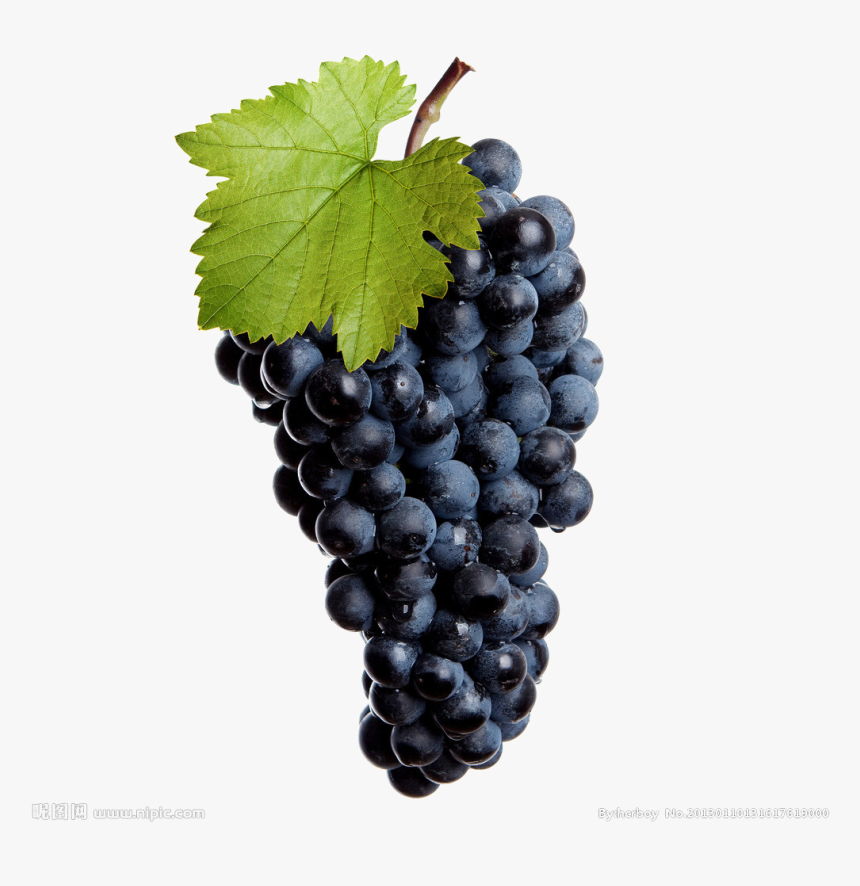 Transparent Grapes Png, Png Download, Free Download