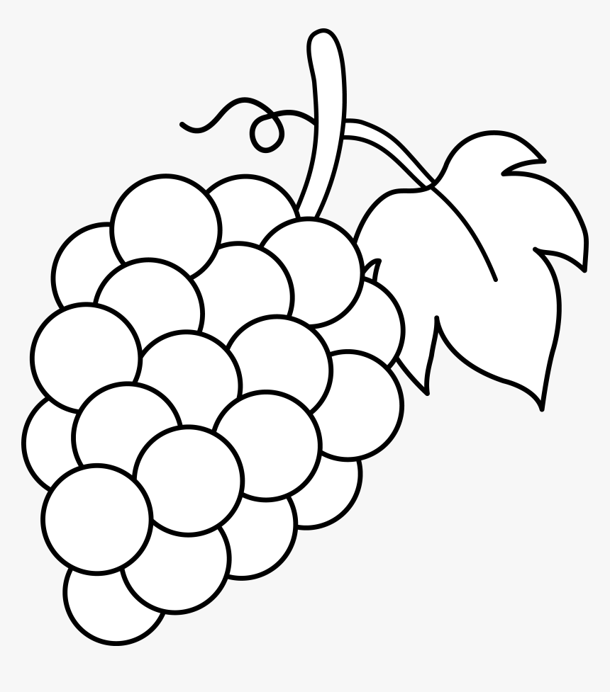 Grapes Coloring Pages, HD Png Download, Free Download